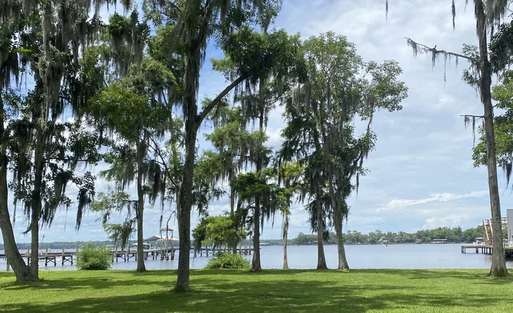 Live oaks draped with Spanish moss above boat docks on Doctors Lake, Fleming Island, Florida